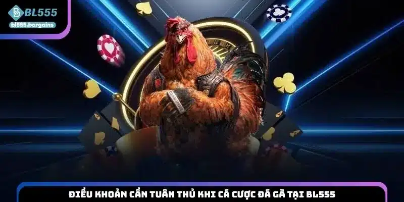 Điều khoản cần tuân thủ khi cá cược đá gà tại BL555